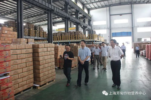 陳杰率隊調研上海芳甸生物科技 強調技術推廣與創新發展