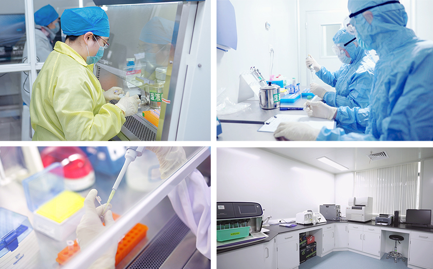 江蘇默金生物工程技術 創(chuàng)新驅(qū)動，引領生物技術研發(fā)前沿