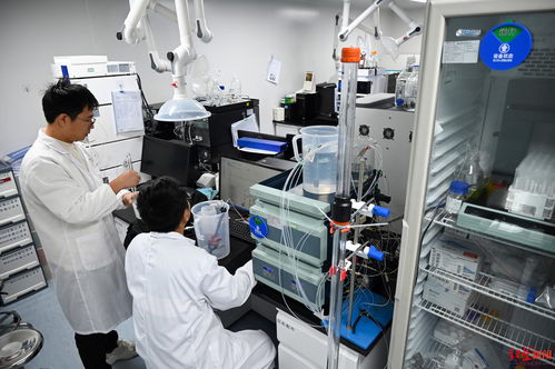 成都生物技術企業獲3億元C輪融資，加速創新藥物研發新篇章