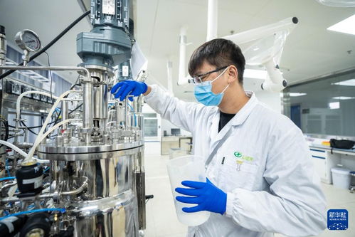 湖南津市 生物制造產業加速發展，技術推廣引領產業升級