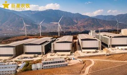 智匯農(nóng)牧，悅見未來 巨星農(nóng)牧德昌生豬繁育一體化項(xiàng)目開放日盛大啟幕