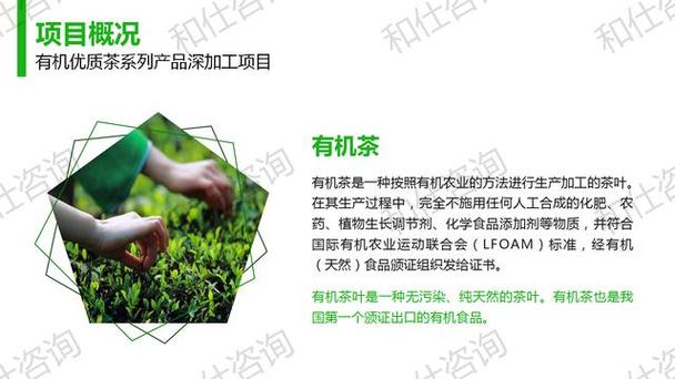 有機(jī)優(yōu)質(zhì)茶系列產(chǎn)品深加工項(xiàng)目建議書